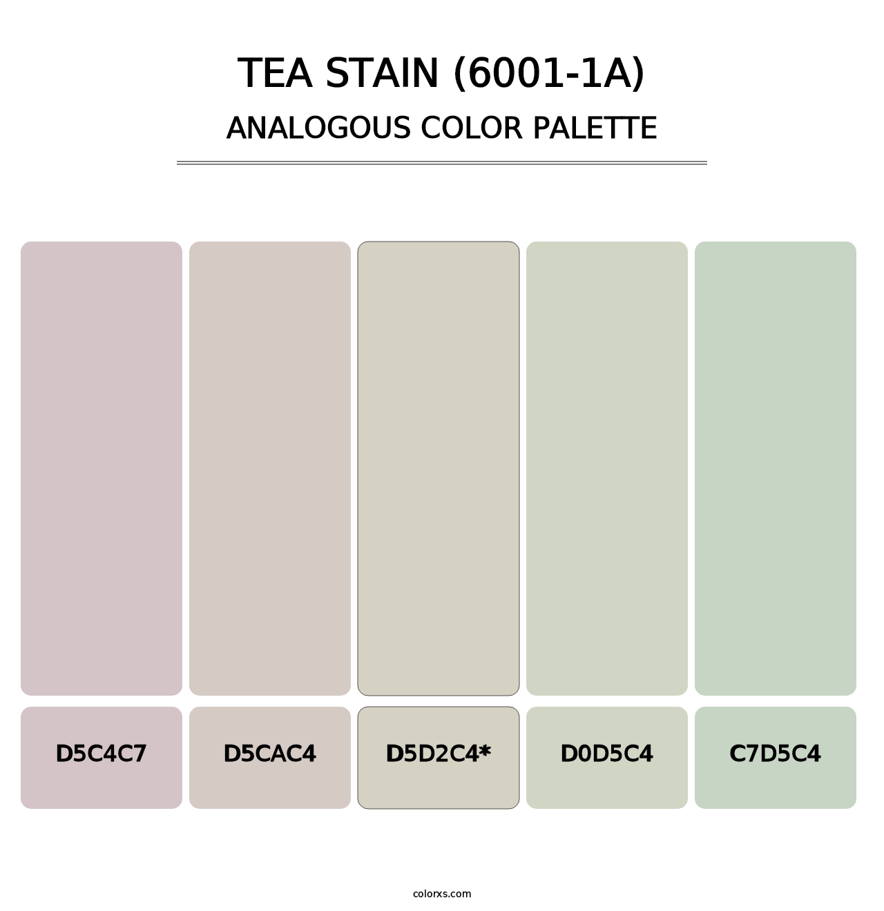 Tea Stain (6001-1A) - Analogous Color Palette