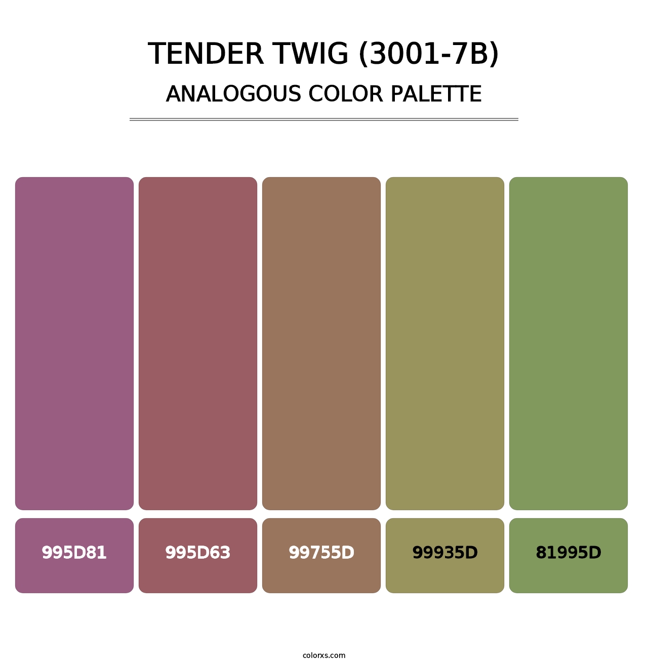 Tender Twig (3001-7B) - Analogous Color Palette