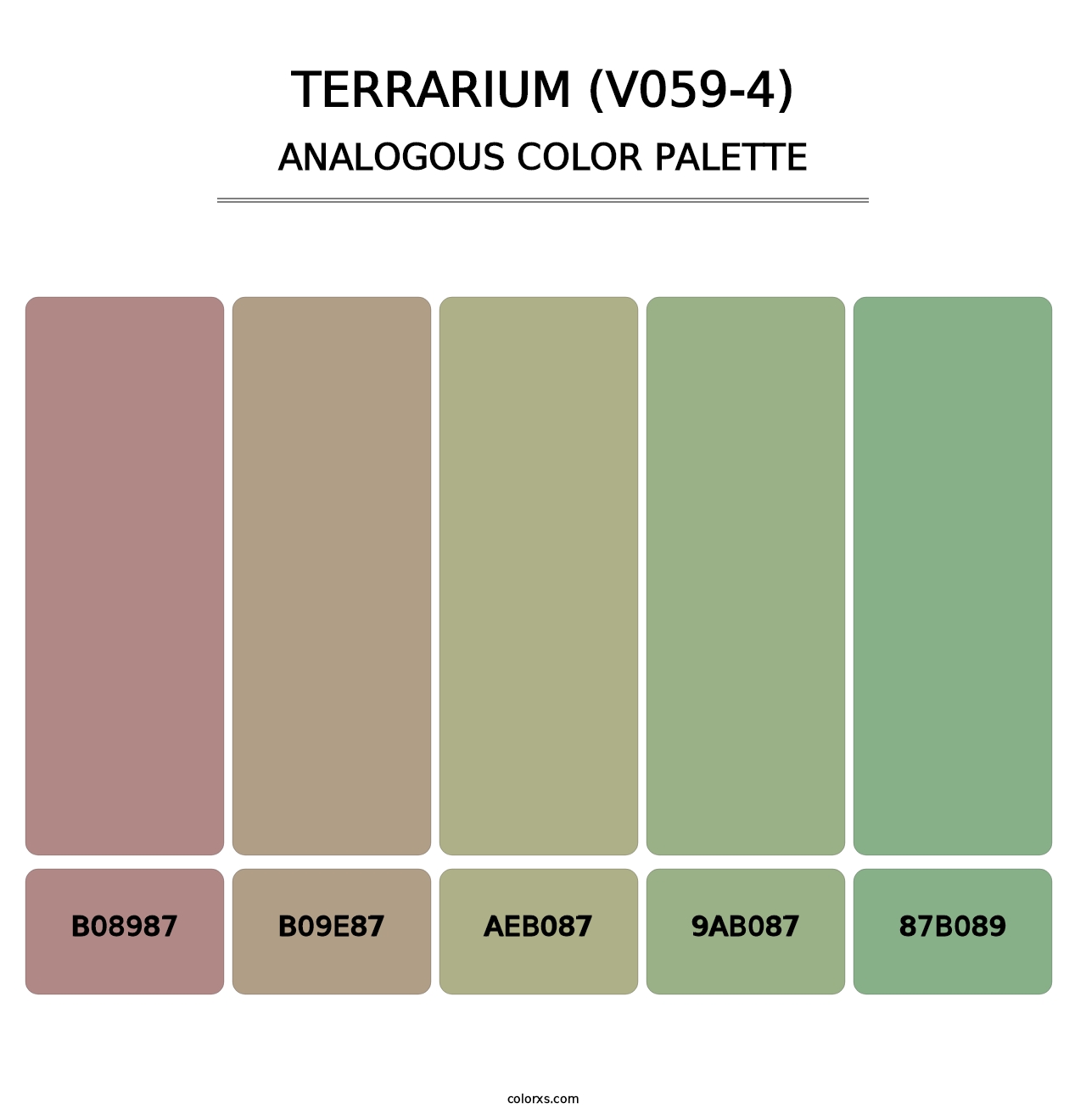 Terrarium (V059-4) - Analogous Color Palette