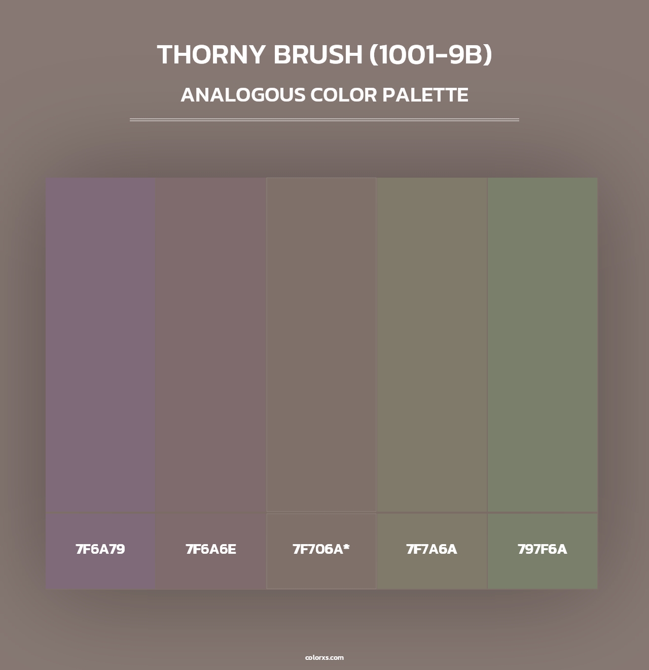Thorny Brush (1001-9B) - Analogous Color Palette