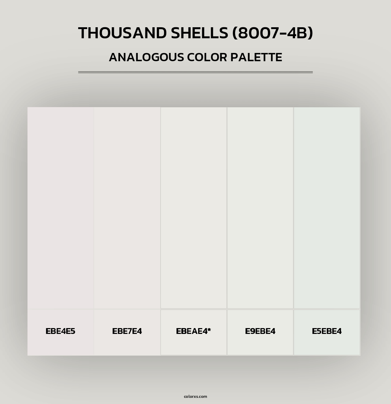 Thousand Shells (8007-4B) - Analogous Color Palette