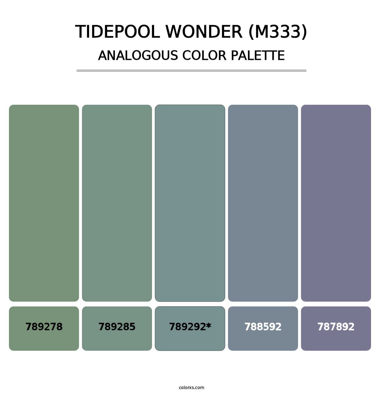 Tidepool Wonder (M333) - Analogous Color Palette