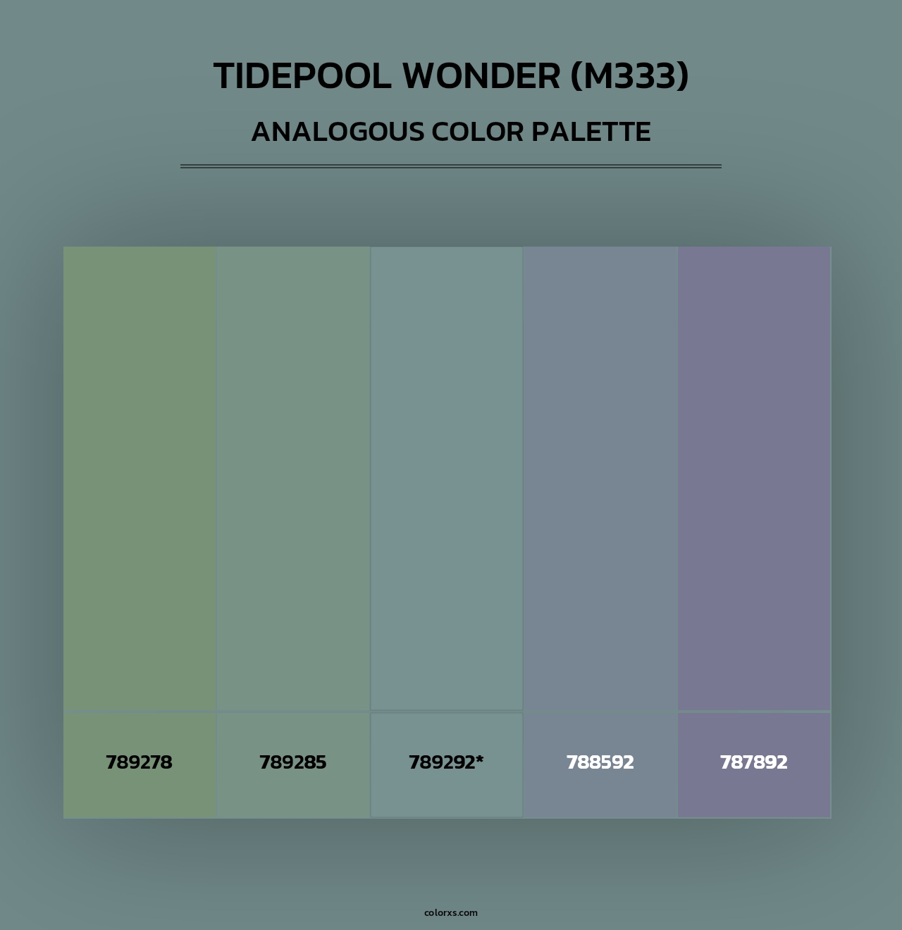 Tidepool Wonder (M333) - Analogous Color Palette