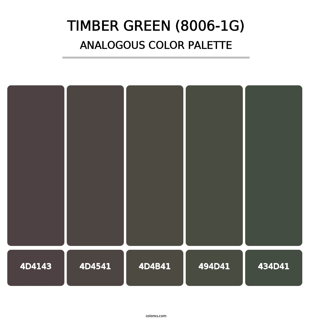 Timber Green (8006-1G) - Analogous Color Palette