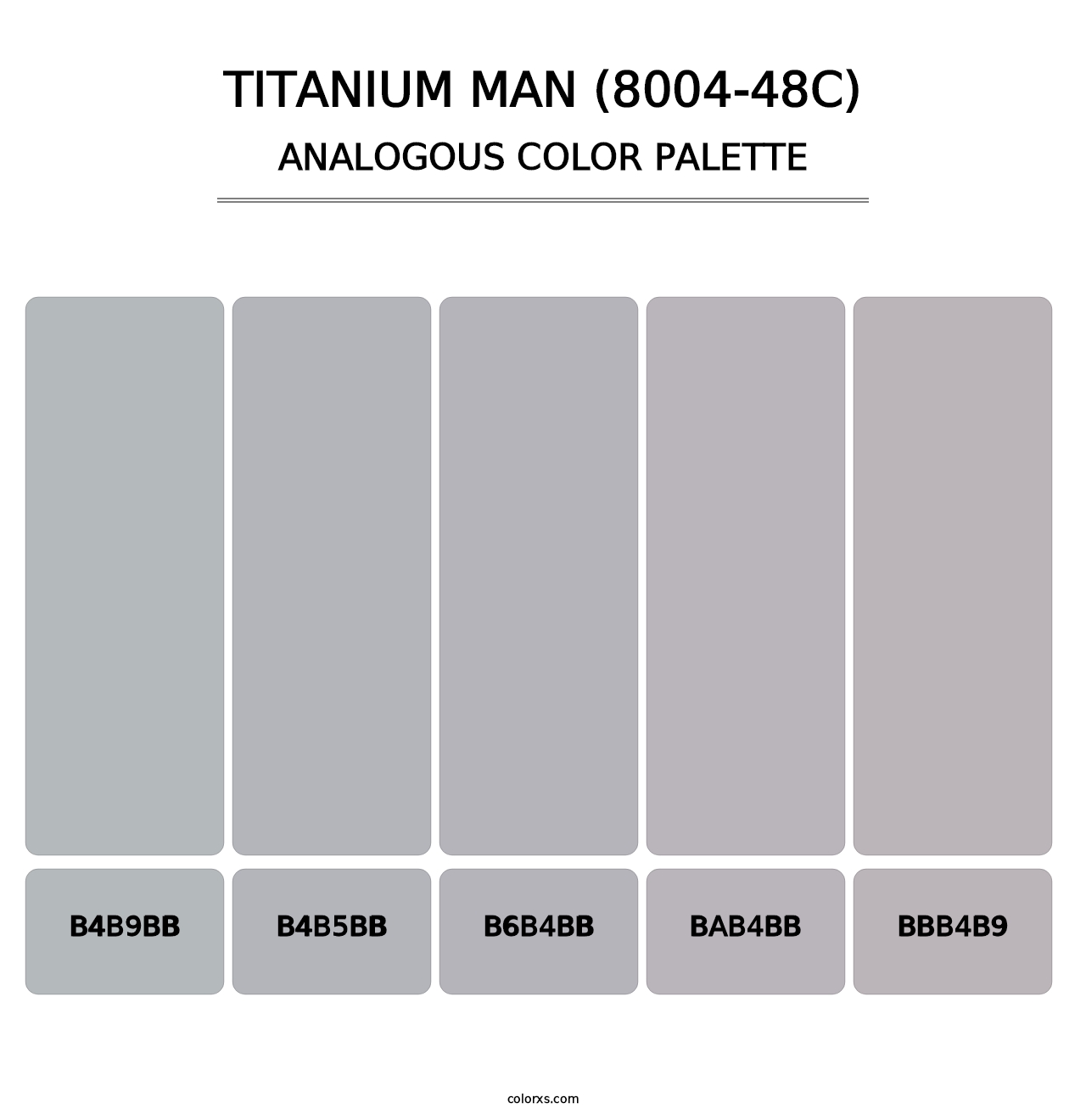 Titanium Man (8004-48C) - Analogous Color Palette