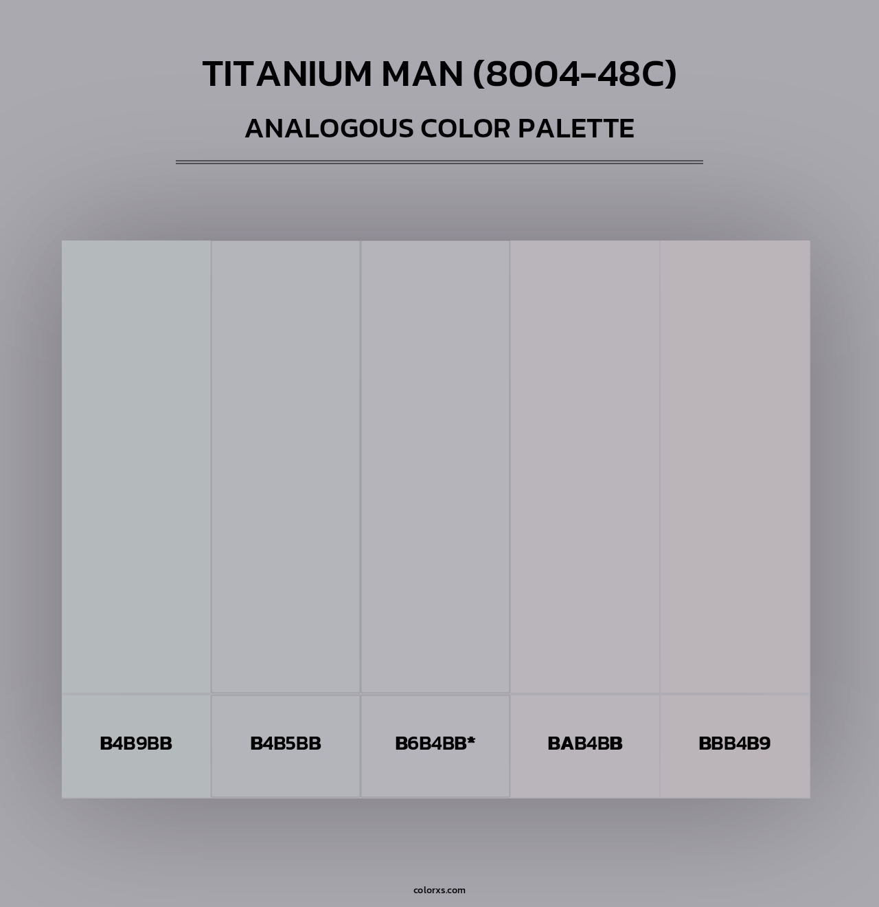 Titanium Man (8004-48C) - Analogous Color Palette