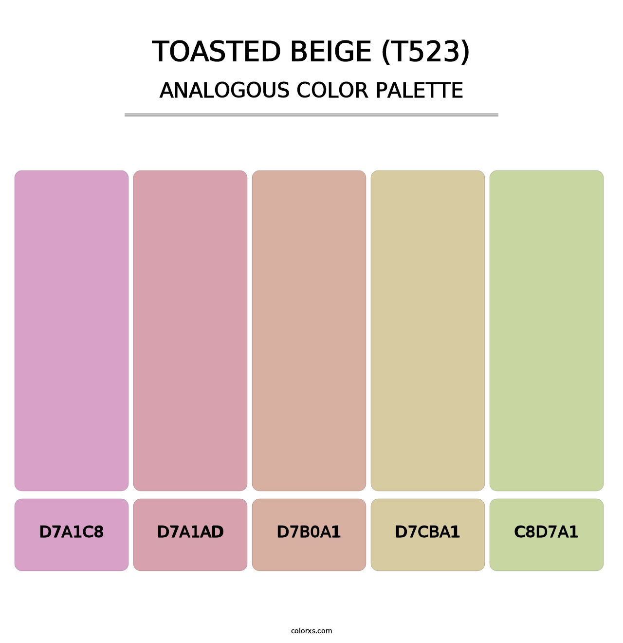 Toasted Beige (T523) - Analogous Color Palette