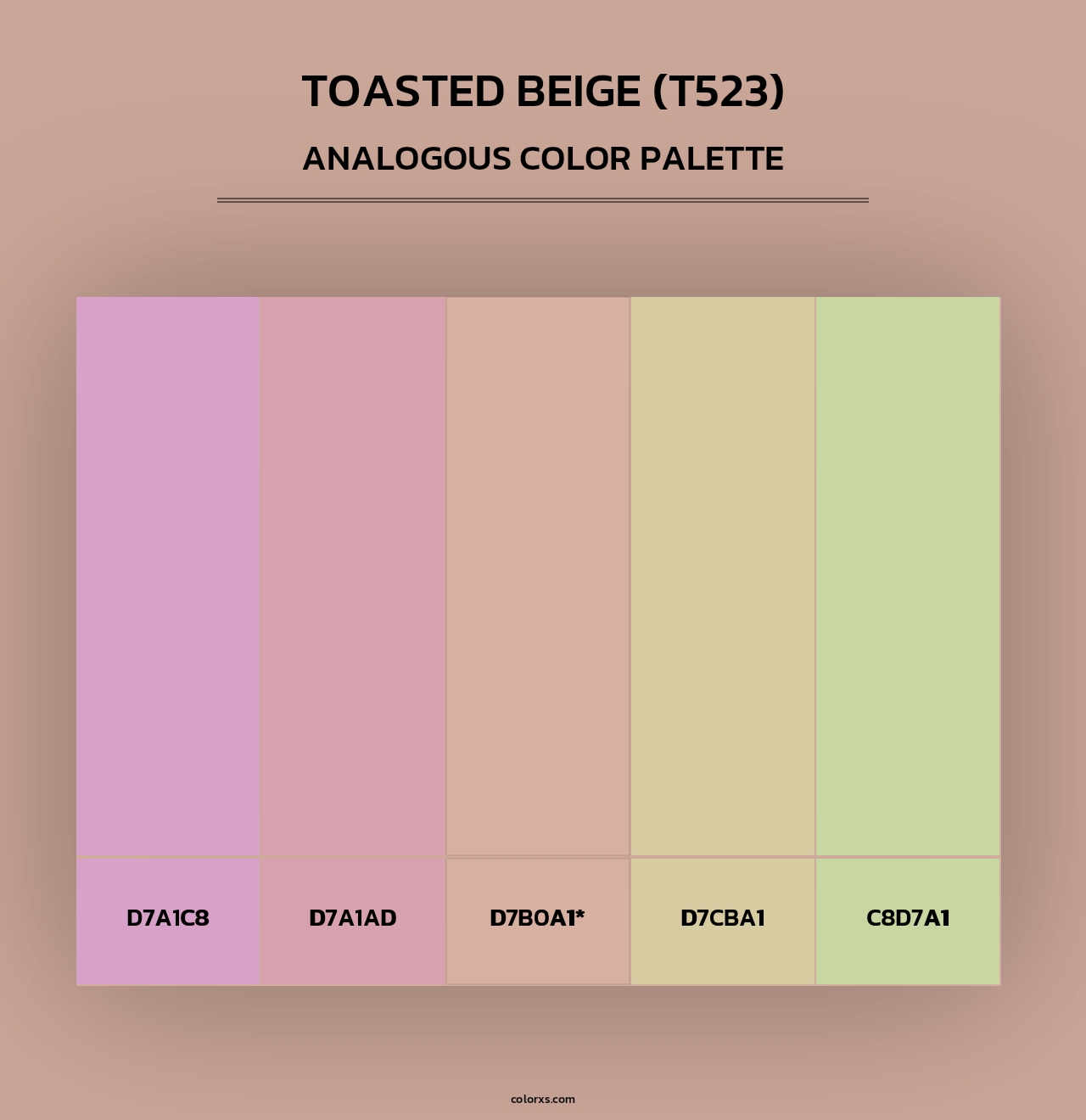 Toasted Beige (T523) - Analogous Color Palette