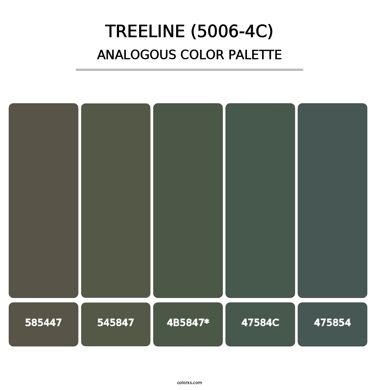 Treeline (5006-4C) - Analogous Color Palette