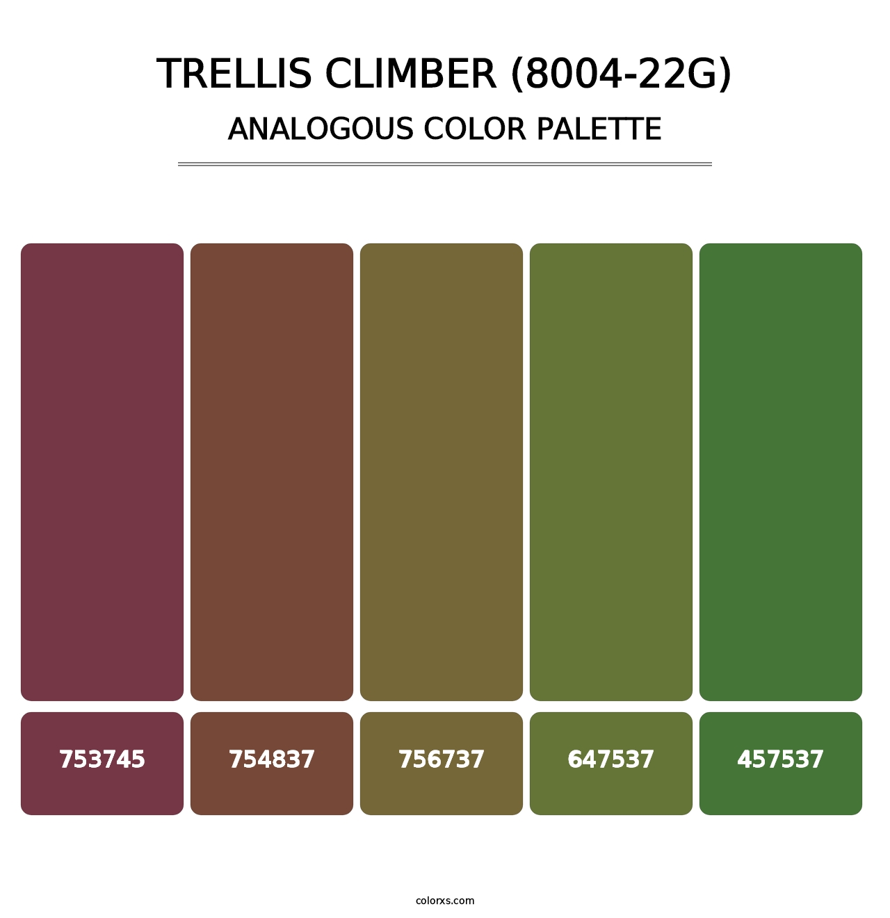 Trellis Climber (8004-22G) - Analogous Color Palette
