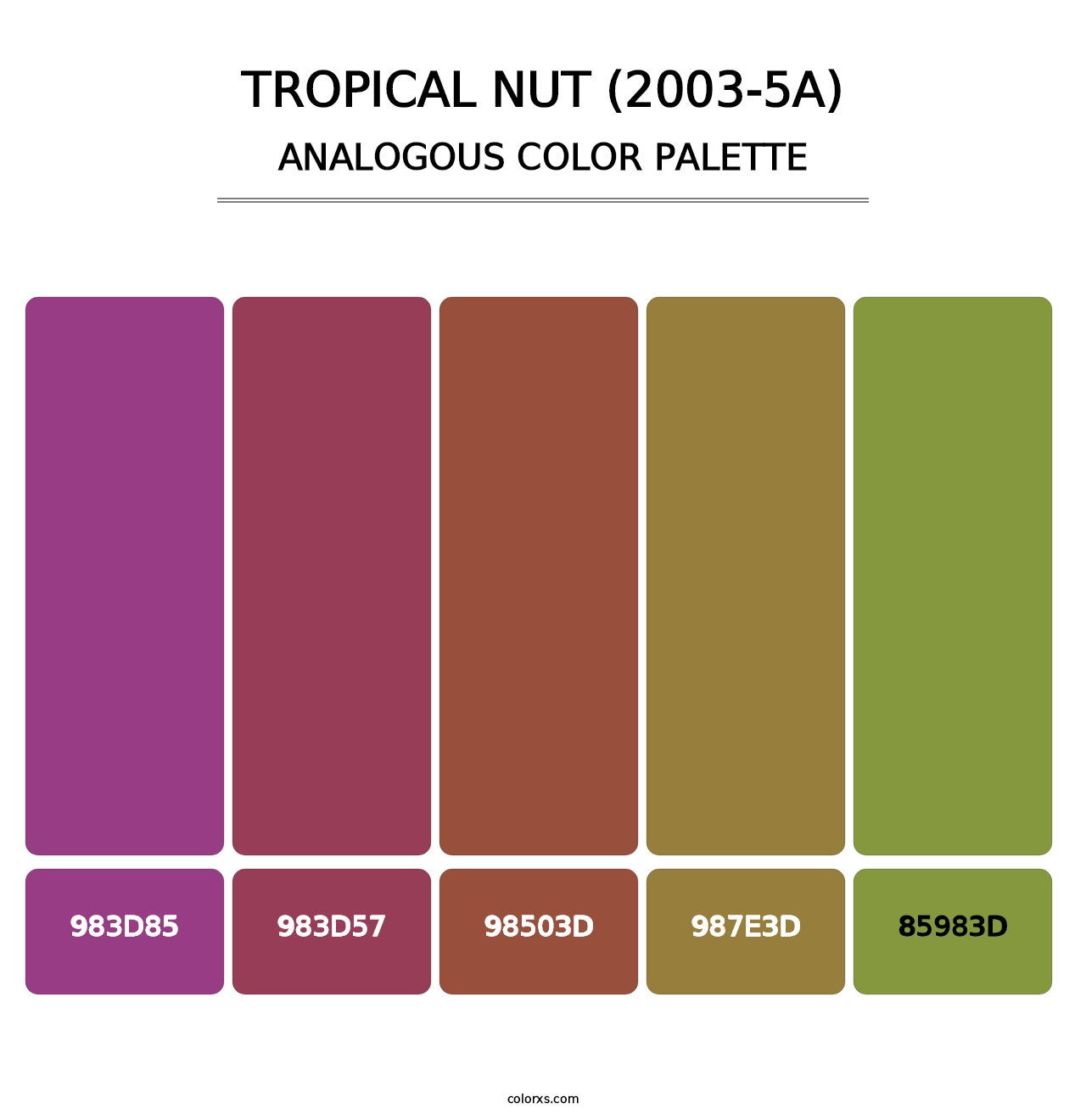 Tropical Nut (2003-5A) - Analogous Color Palette