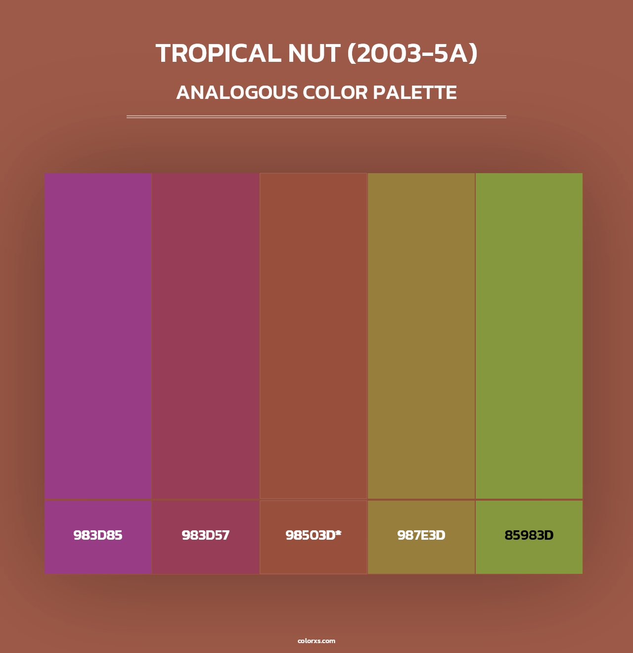Tropical Nut (2003-5A) - Analogous Color Palette