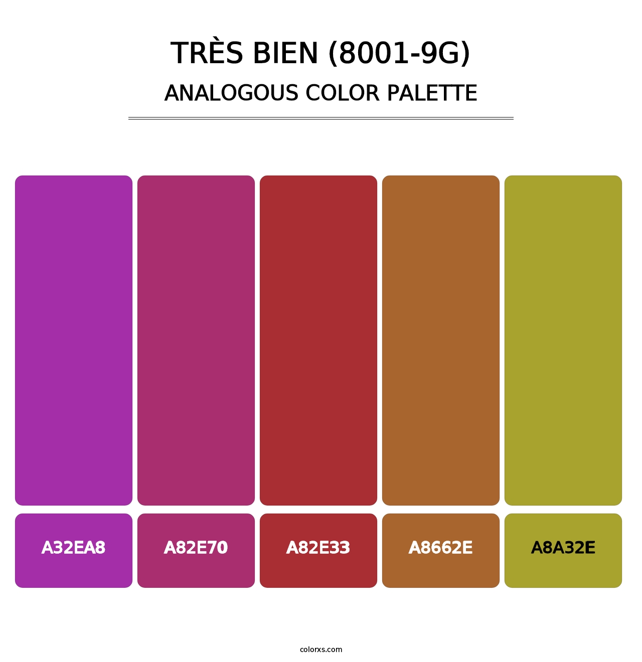 Très Bien (8001-9G) - Analogous Color Palette