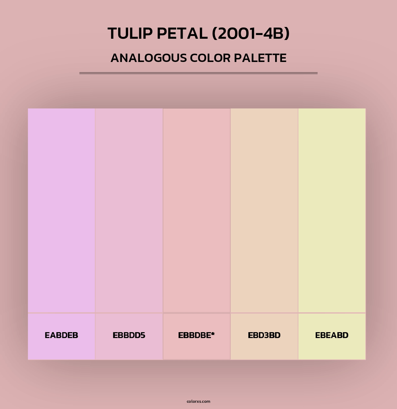 Tulip Petal (2001-4B) - Analogous Color Palette