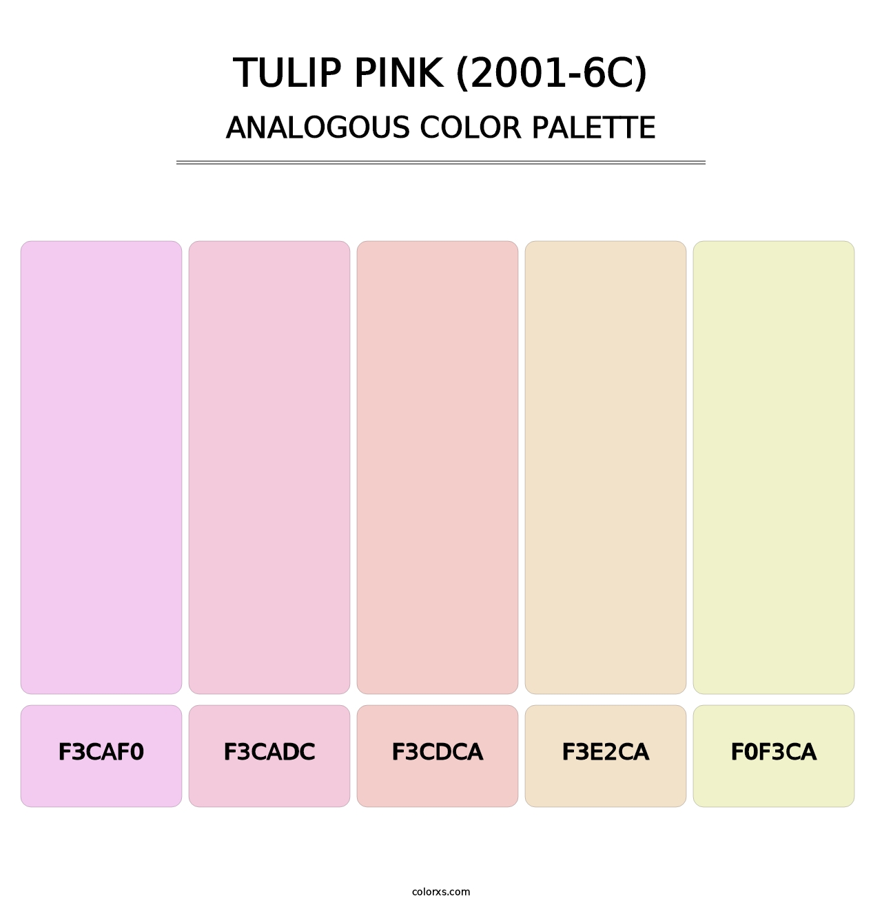 Tulip Pink (2001-6C) - Analogous Color Palette