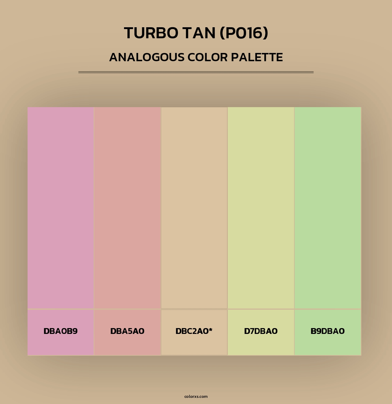 Turbo Tan (P016) - Analogous Color Palette