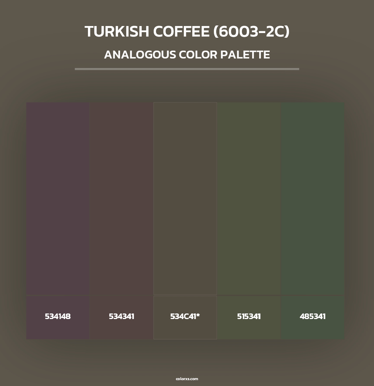 Turkish Coffee (6003-2C) - Analogous Color Palette