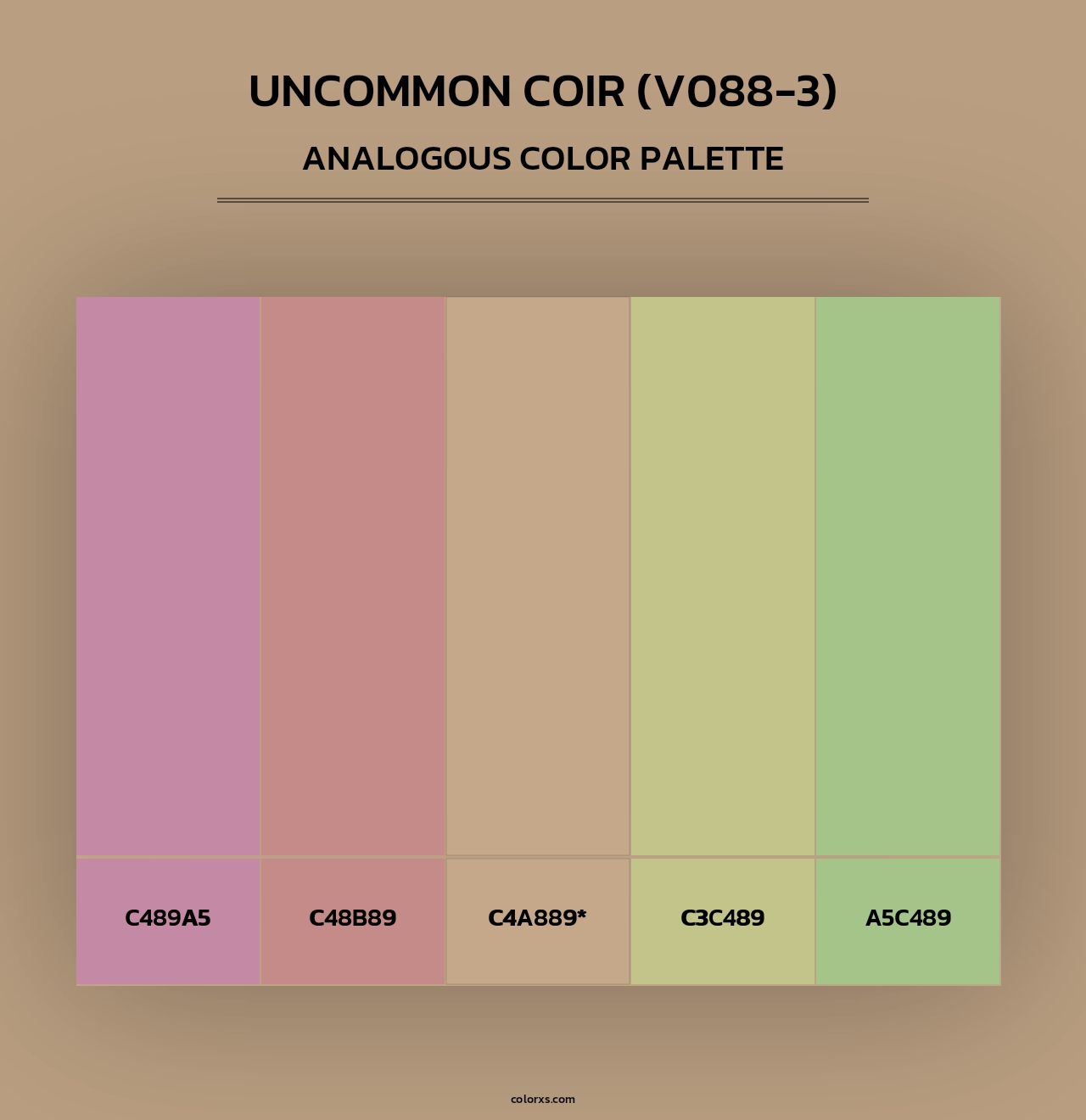 Uncommon Coir (V088-3) - Analogous Color Palette