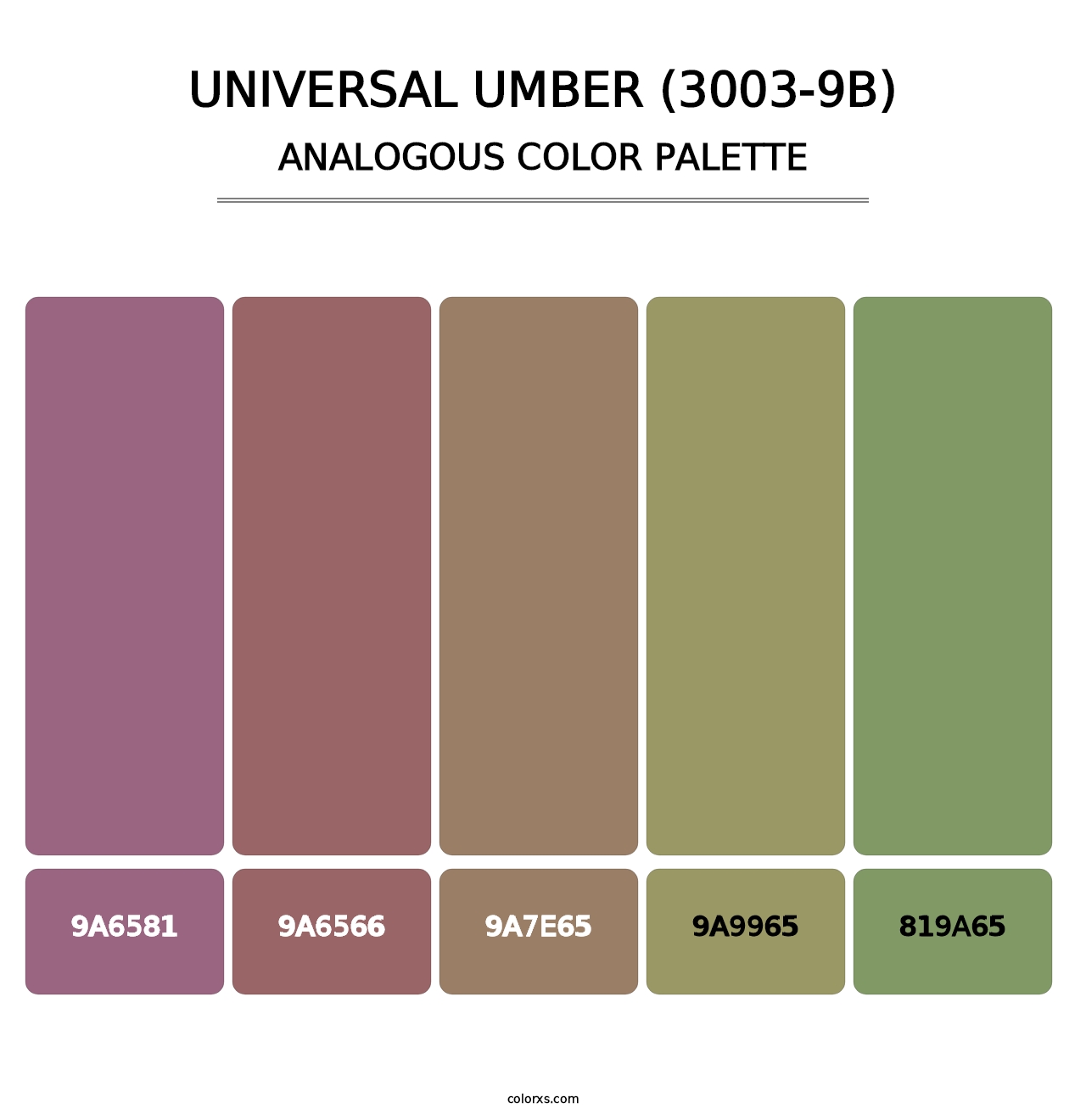 Universal Umber (3003-9B) - Analogous Color Palette