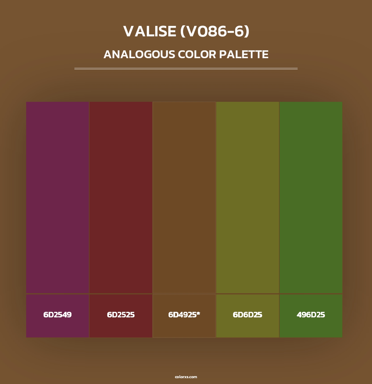 Valise (V086-6) - Analogous Color Palette