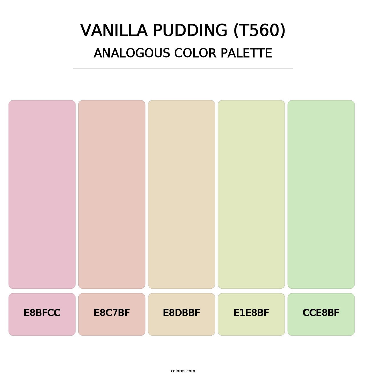 Vanilla Pudding (T560) - Analogous Color Palette
