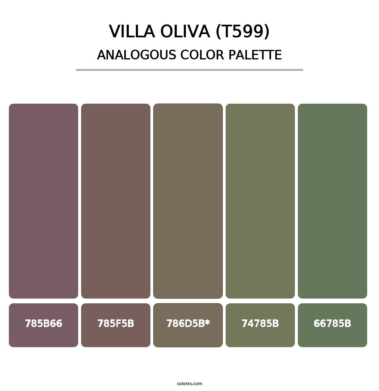 Villa Oliva (T599) - Analogous Color Palette