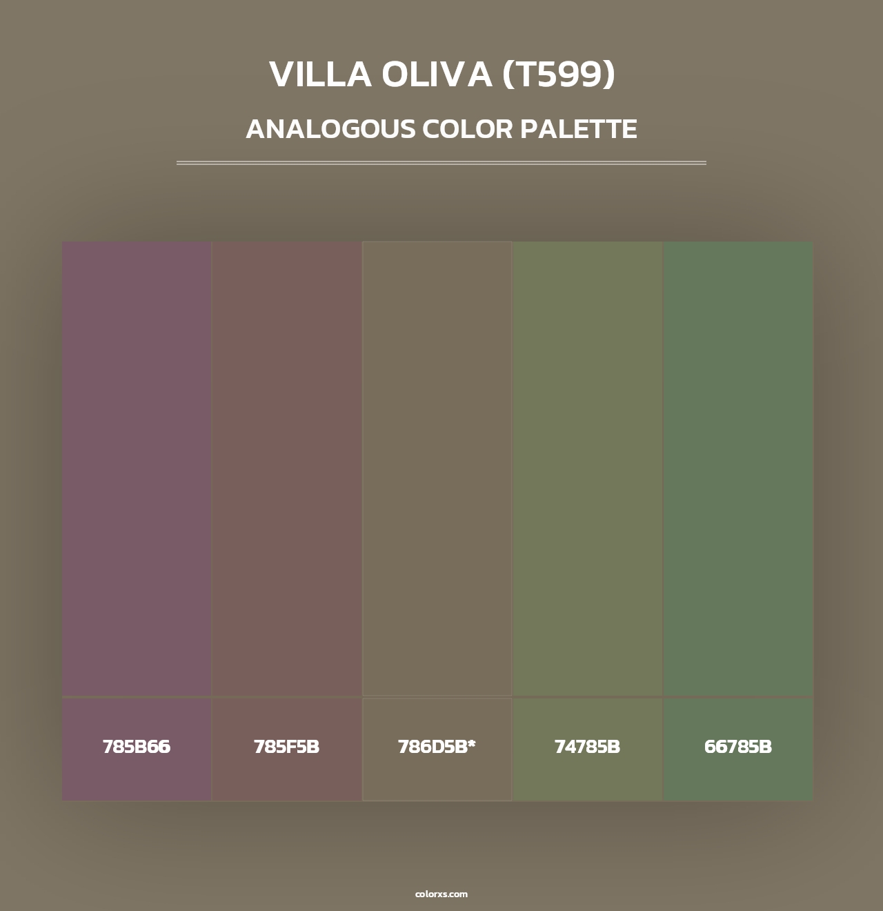 Villa Oliva (T599) - Analogous Color Palette