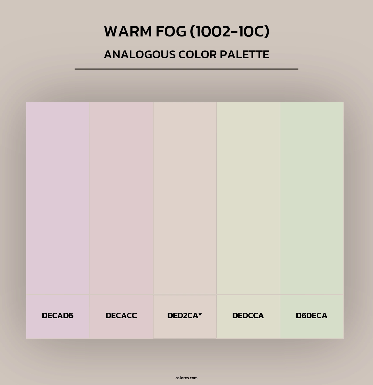 Warm Fog (1002-10C) - Analogous Color Palette