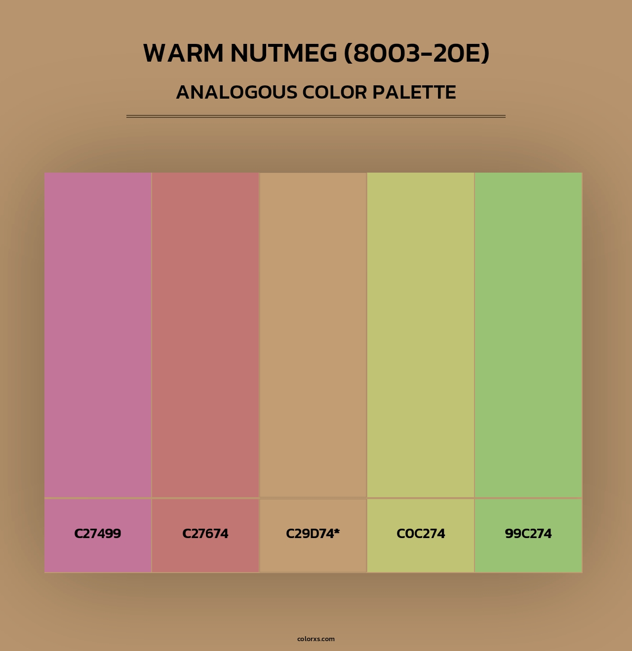 Warm Nutmeg (8003-20E) - Analogous Color Palette