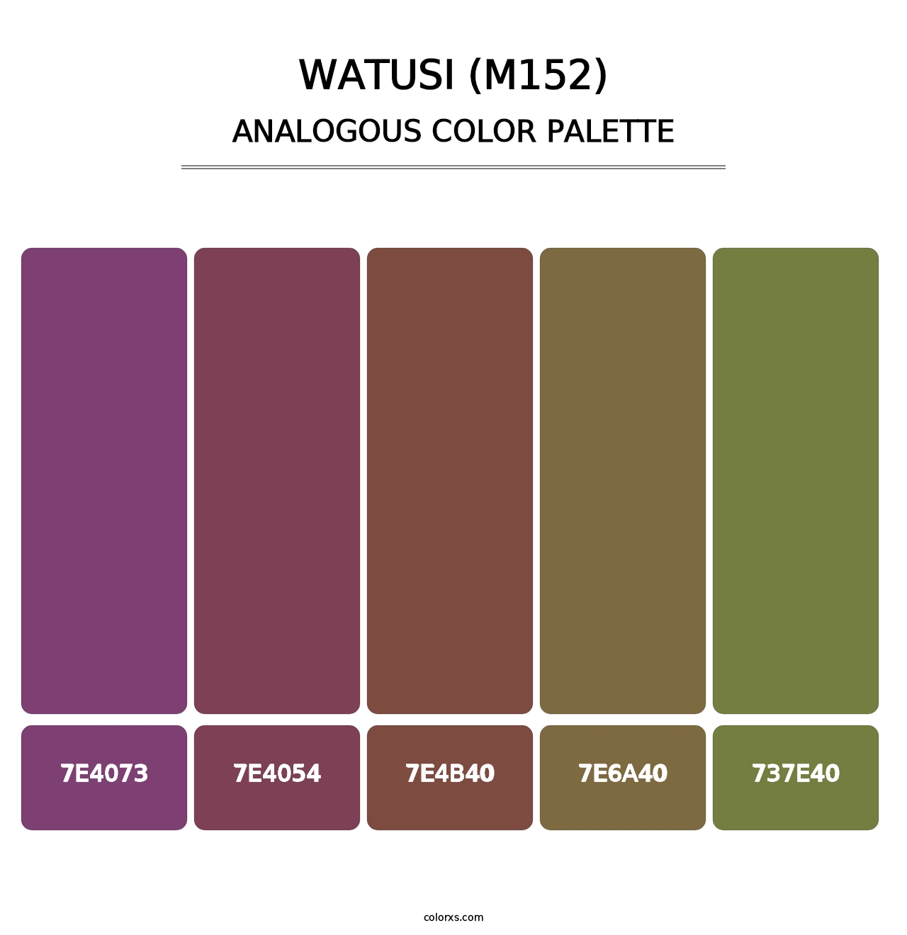 Watusi (M152) - Analogous Color Palette