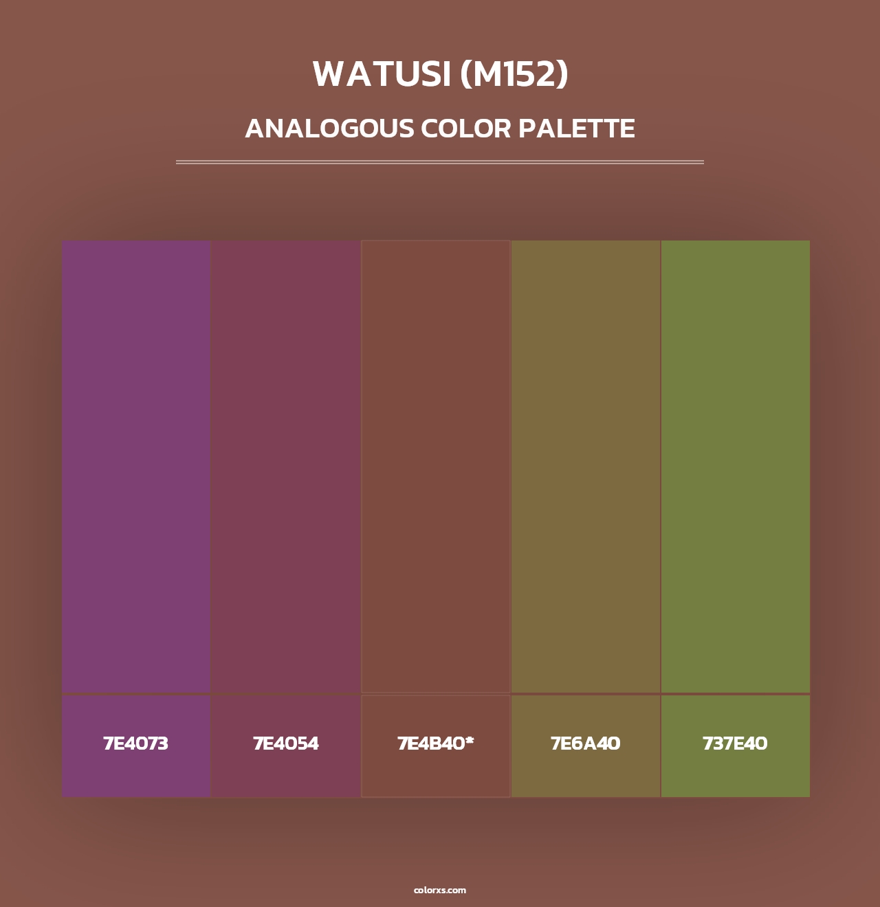 Watusi (M152) - Analogous Color Palette