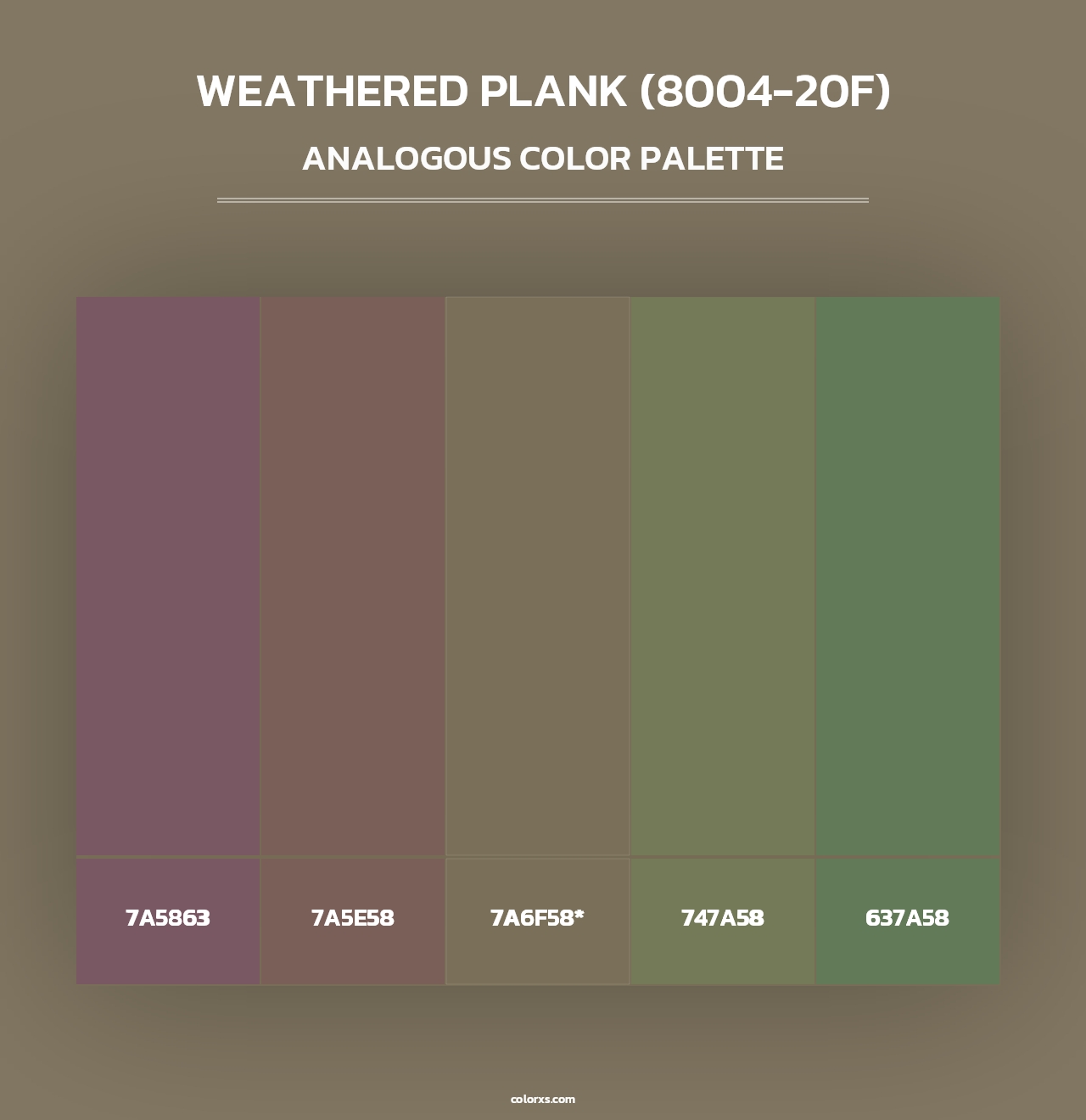 Weathered Plank (8004-20F) - Analogous Color Palette