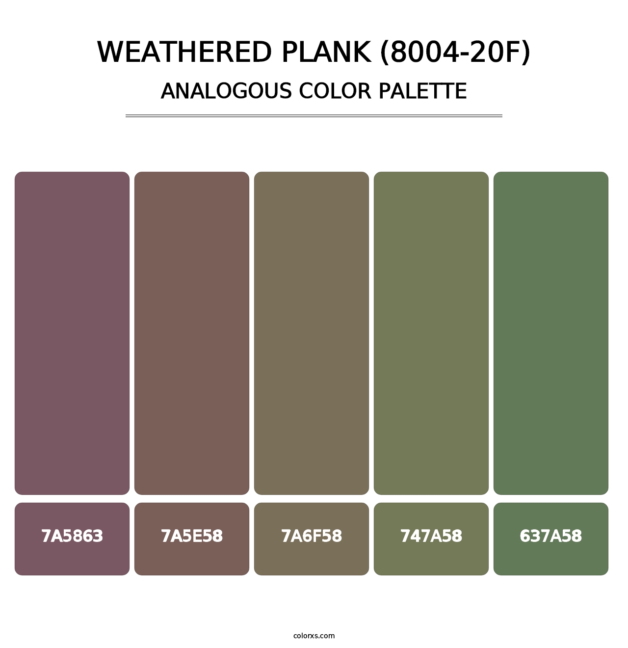 Weathered Plank (8004-20F) - Analogous Color Palette