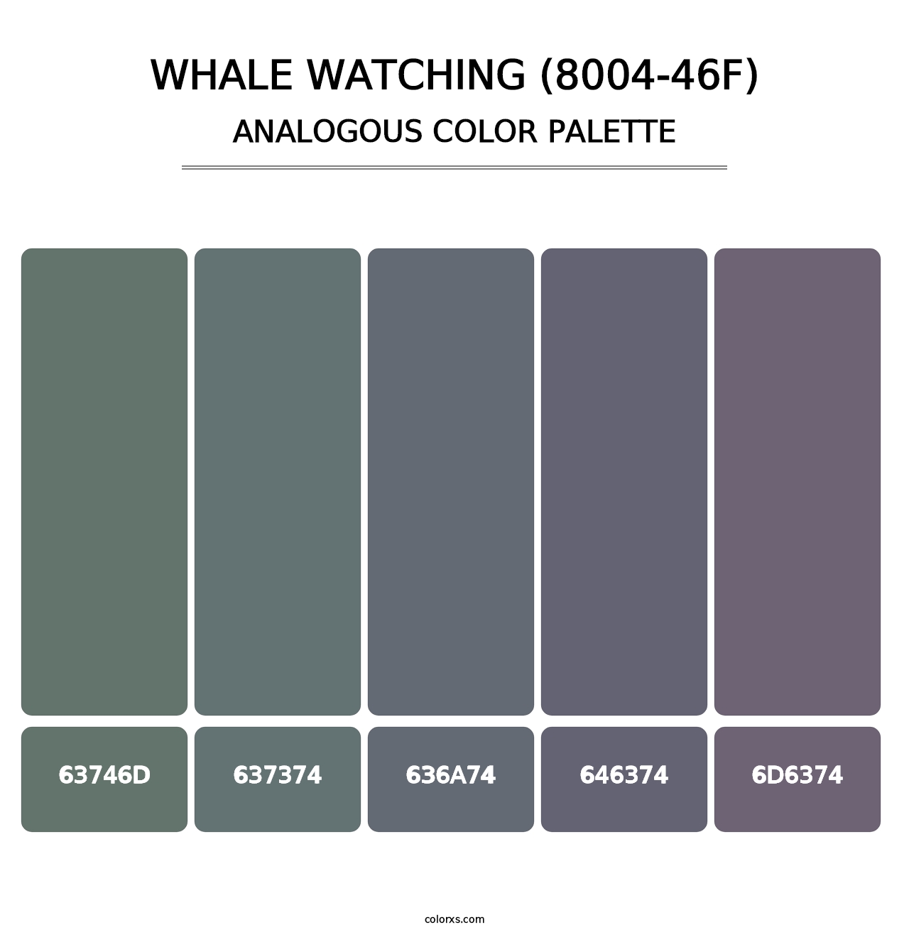 Whale Watching (8004-46F) - Analogous Color Palette