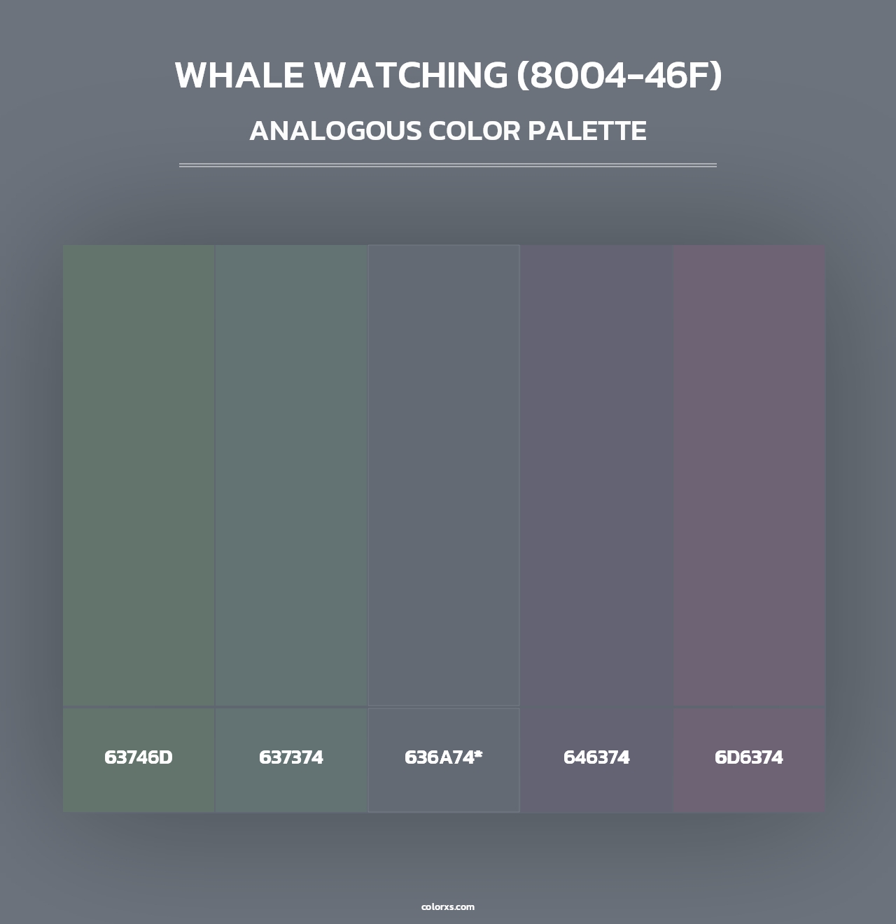 Whale Watching (8004-46F) - Analogous Color Palette