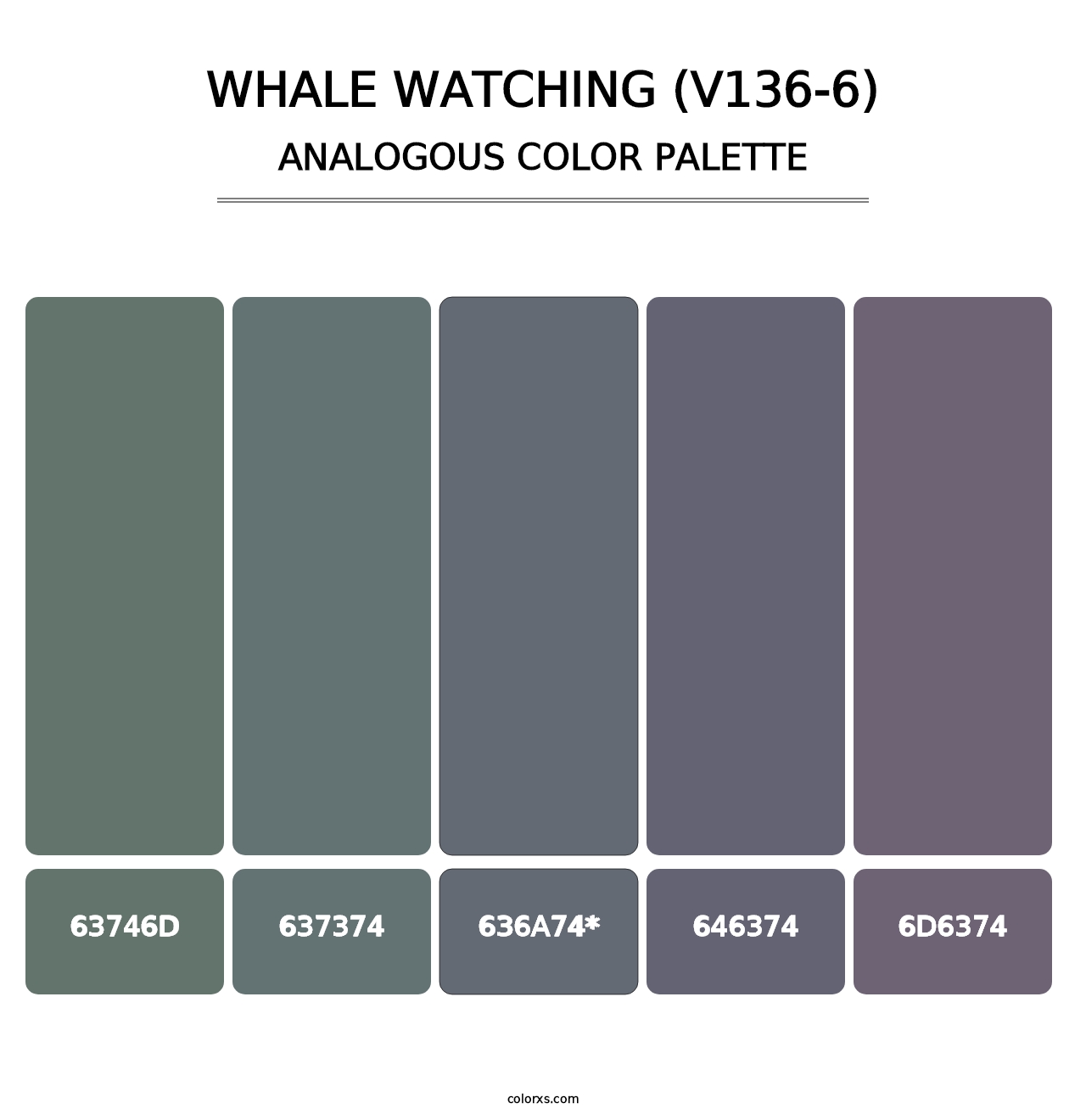 Whale Watching (V136-6) - Analogous Color Palette