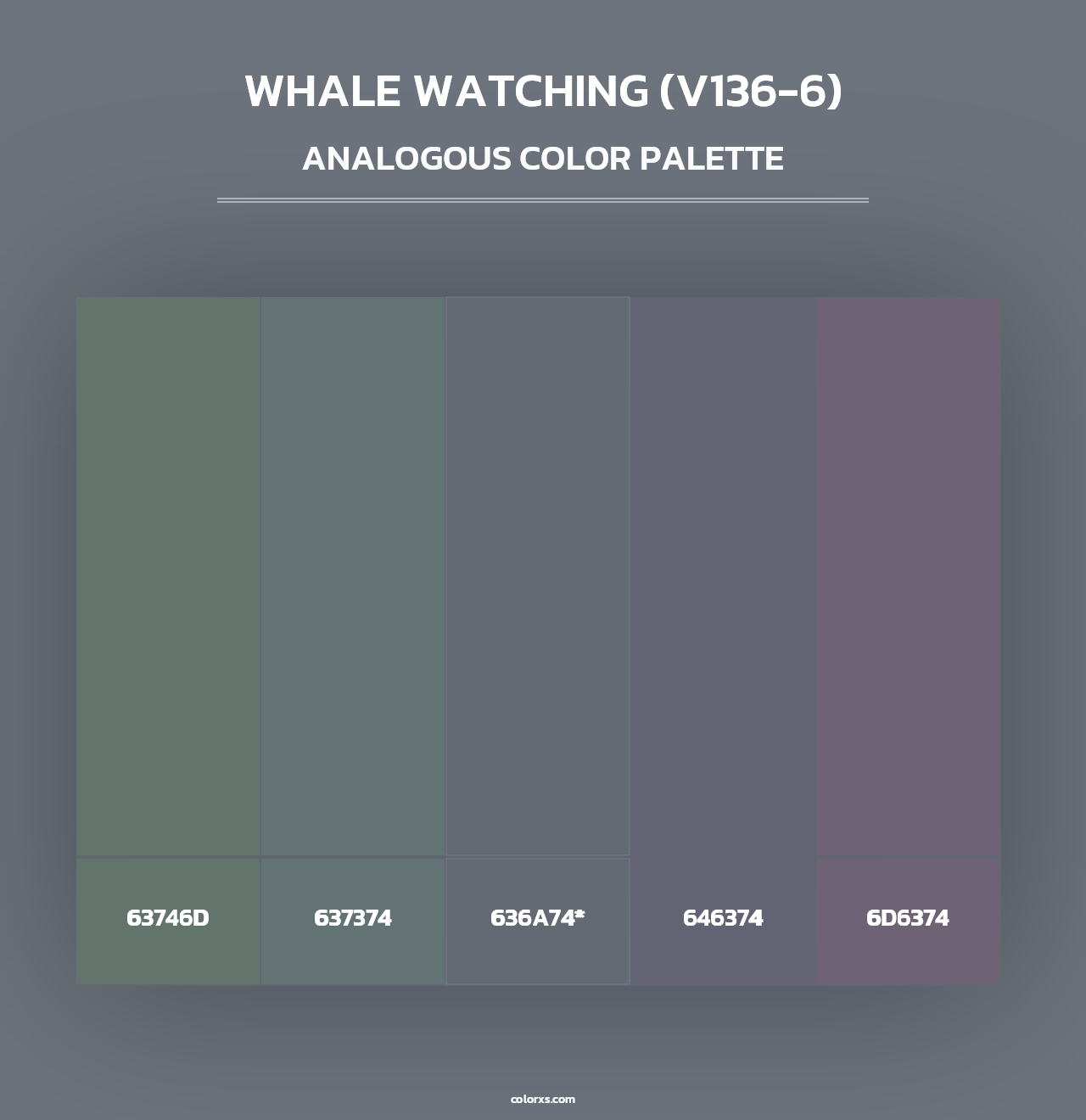 Whale Watching (V136-6) - Analogous Color Palette