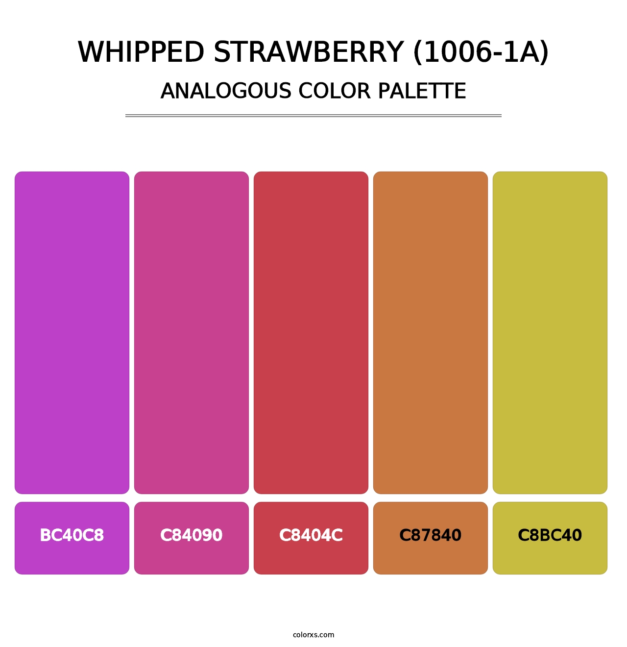 Whipped Strawberry (1006-1A) - Analogous Color Palette