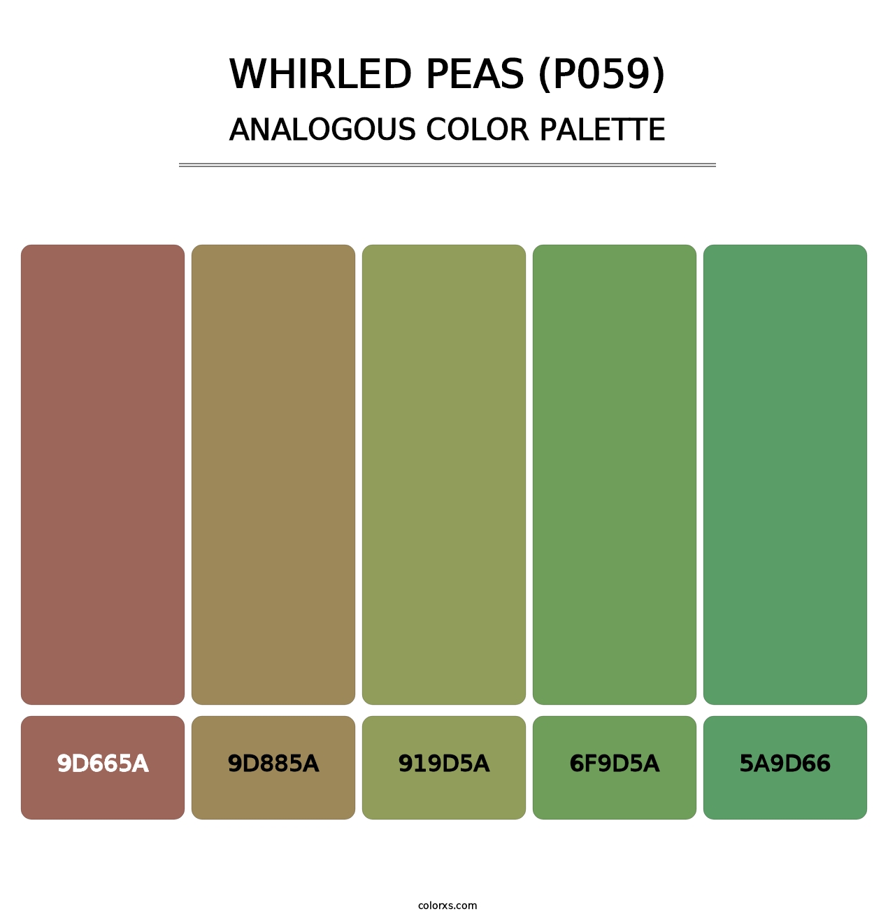 Whirled Peas (P059) - Analogous Color Palette