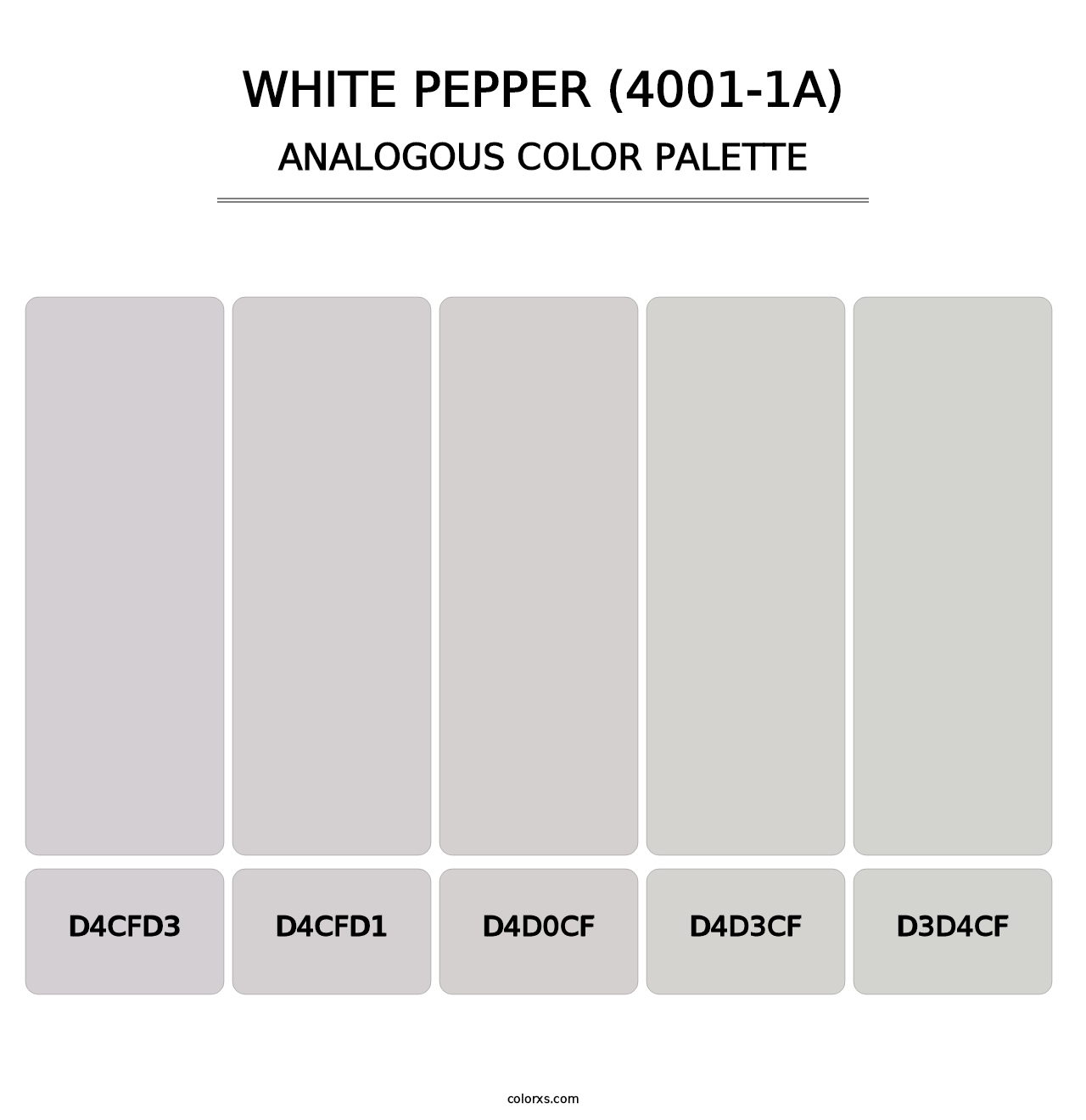 White Pepper (4001-1A) - Analogous Color Palette