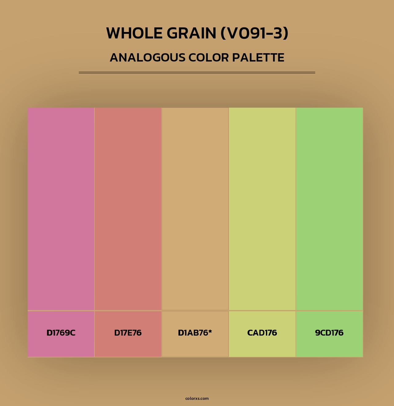 Whole Grain (V091-3) - Analogous Color Palette