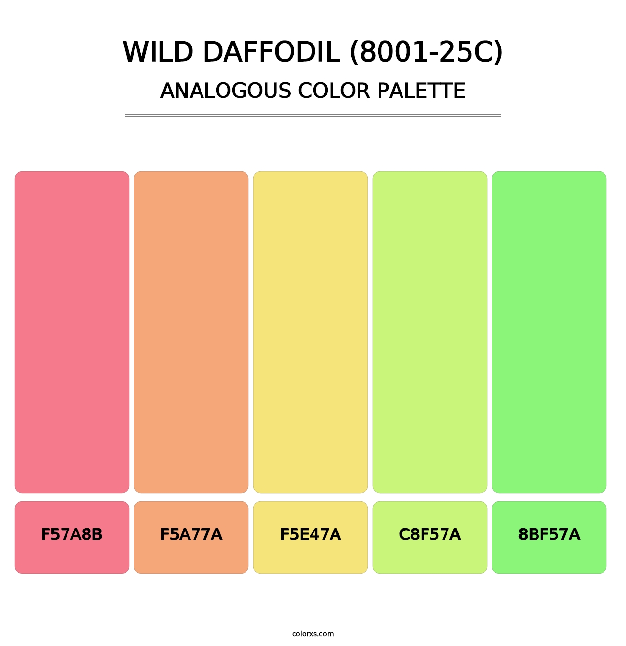 Wild Daffodil (8001-25C) - Analogous Color Palette