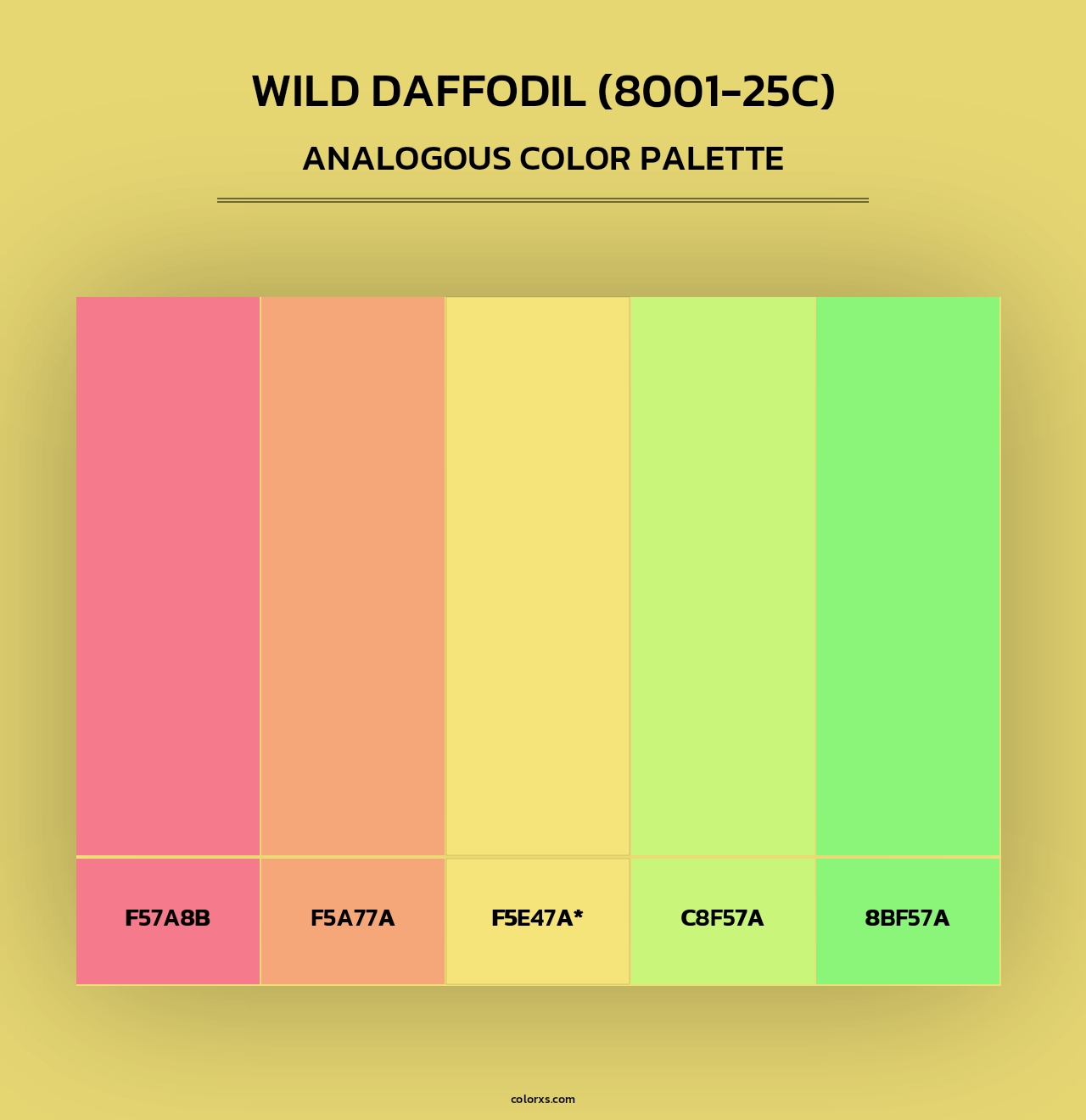 Wild Daffodil (8001-25C) - Analogous Color Palette