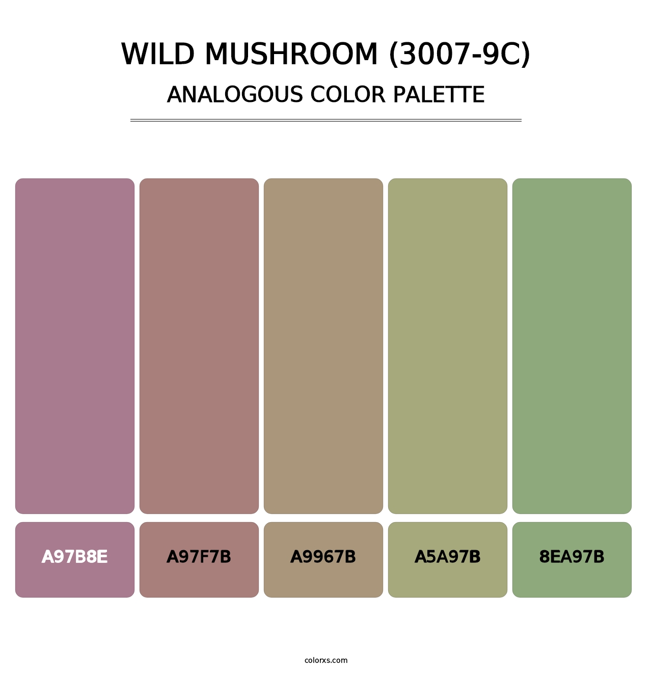 Wild Mushroom (3007-9C) - Analogous Color Palette