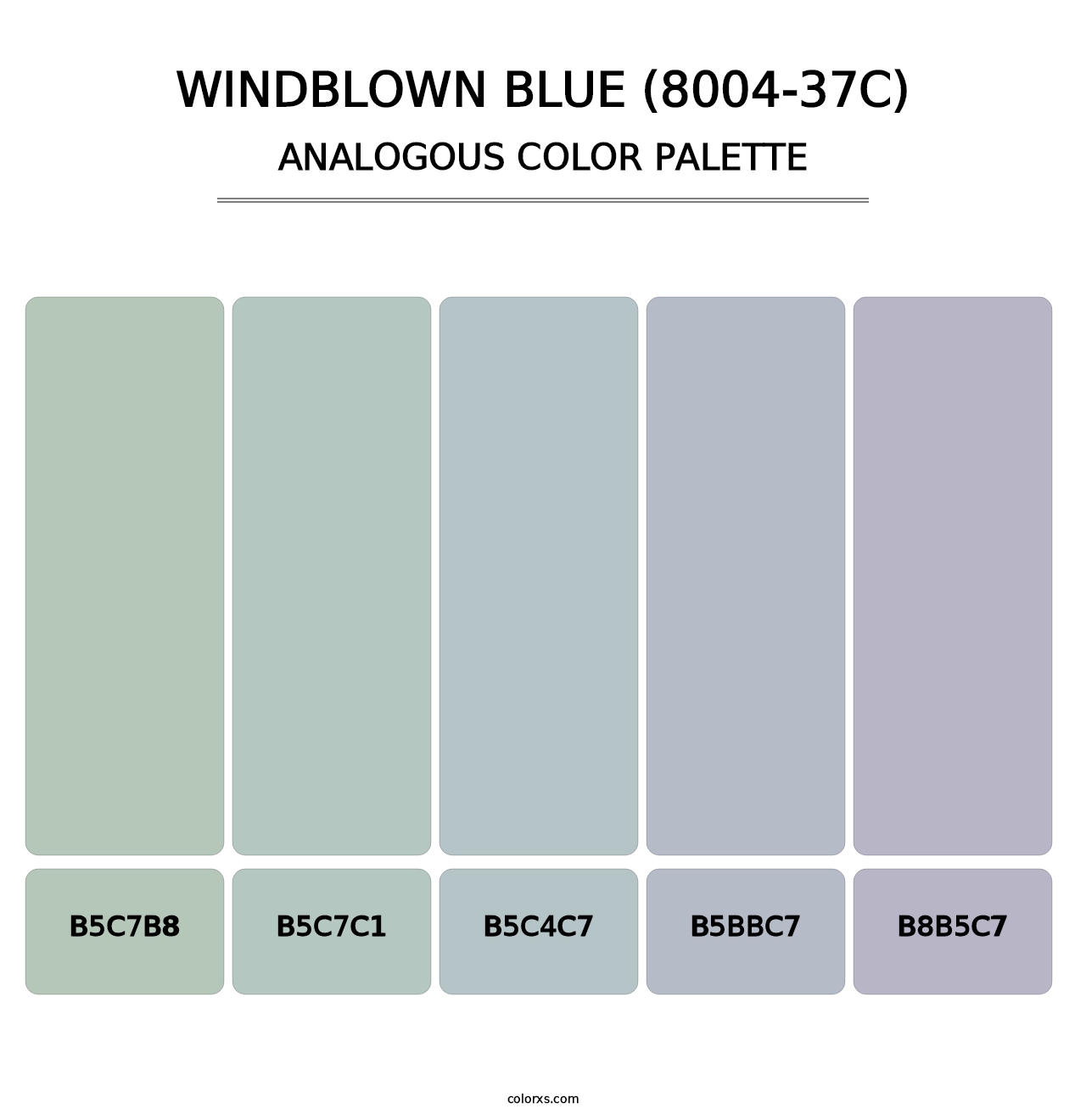 Windblown Blue (8004-37C) - Analogous Color Palette