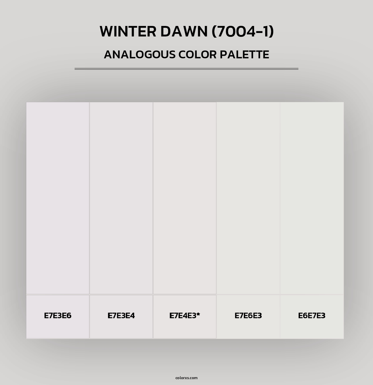 Winter Dawn (7004-1) - Analogous Color Palette