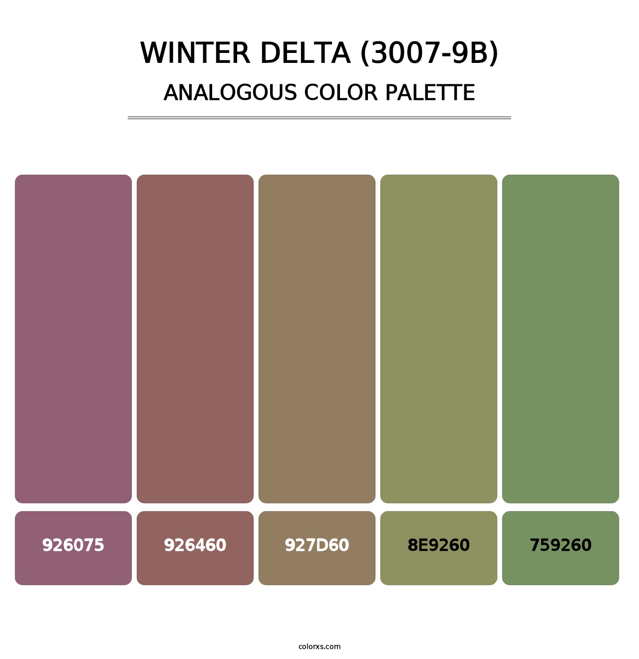 Winter Delta (3007-9B) - Analogous Color Palette