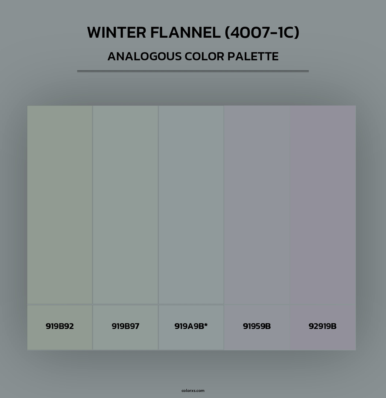 Winter Flannel (4007-1C) - Analogous Color Palette