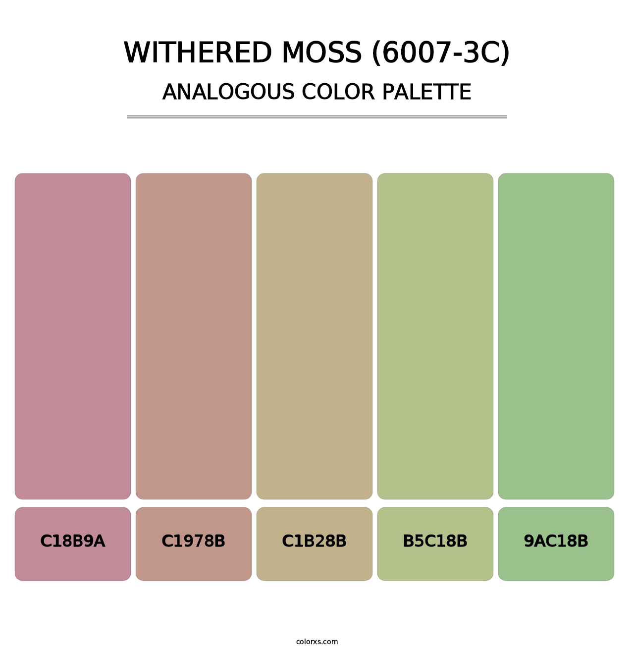 Withered Moss (6007-3C) - Analogous Color Palette