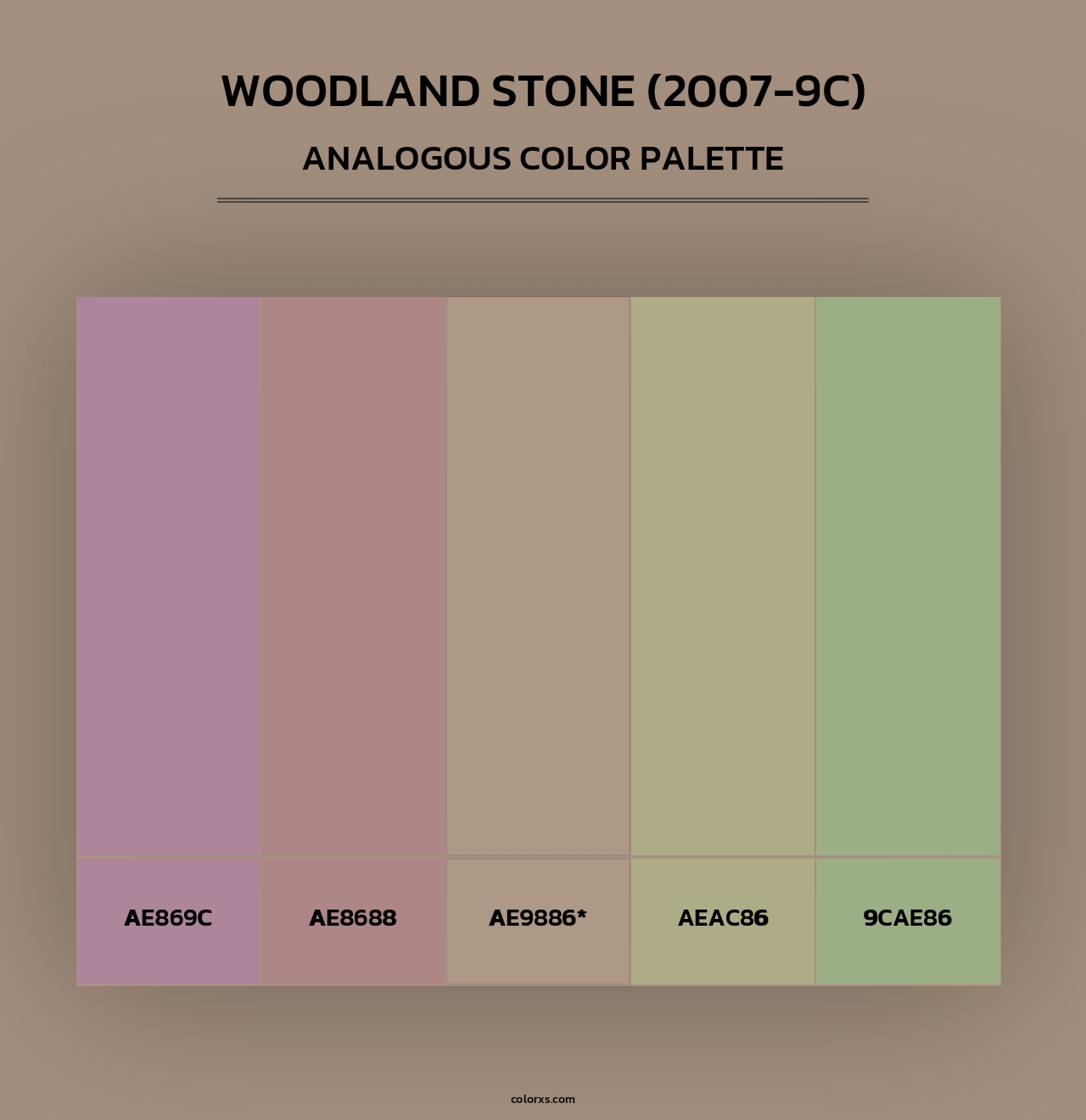 Woodland Stone (2007-9C) - Analogous Color Palette